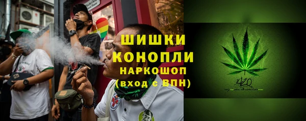 индика Балабаново