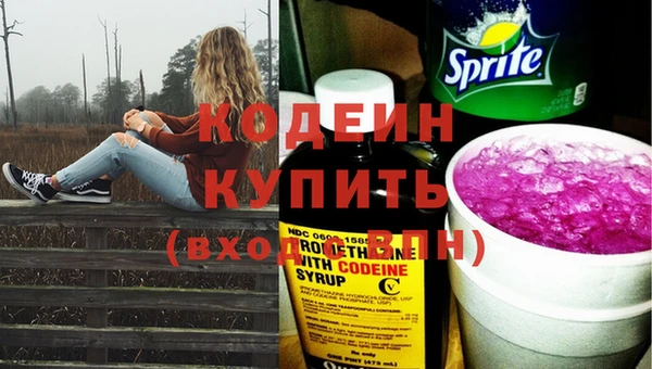 индика Балабаново