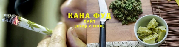 индика Балабаново