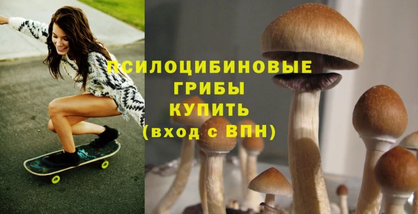гидра Балахна