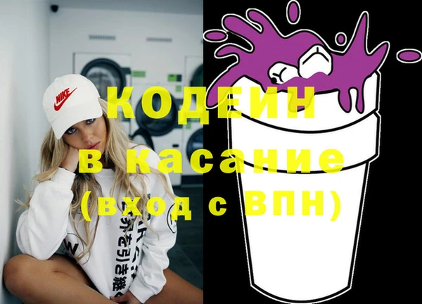 крисы Армянск